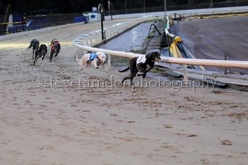 sun26_125.JPG - (C)S.FARNDON