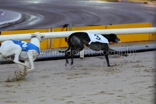 sun26_131.JPG - (C)S.FARNDON