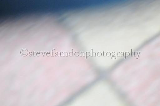 sun26_141.JPG - (C)S.FARNDON