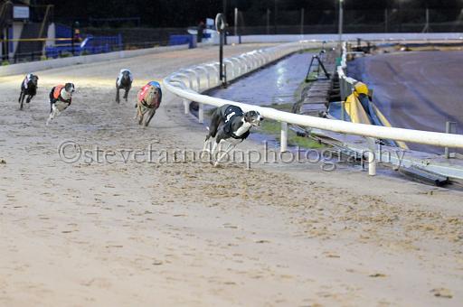 sun26_156.JPG - (C)S.FARNDON