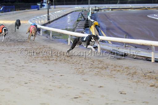 sun26_157.JPG - (C)S.FARNDON