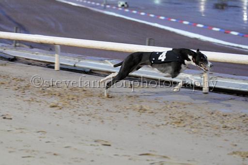sun26_159.JPG - (C)S.FARNDON