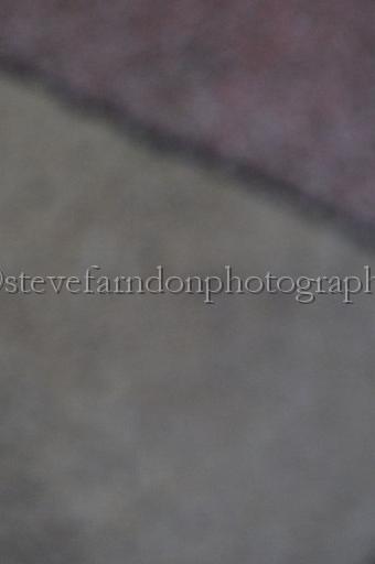 sun26_160.JPG - (C)S.FARNDON