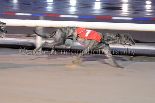 sun26_167.JPG - (C)S.FARNDON