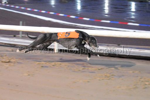 sun26_175.JPG - (C)S.FARNDON