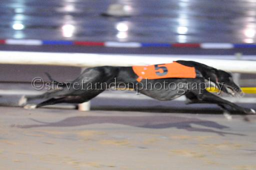 sun26_177.JPG - (C)S.FARNDON