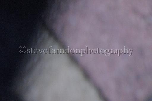 sun26_178.JPG - (C)S.FARNDON
