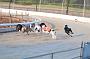 juneaction_025