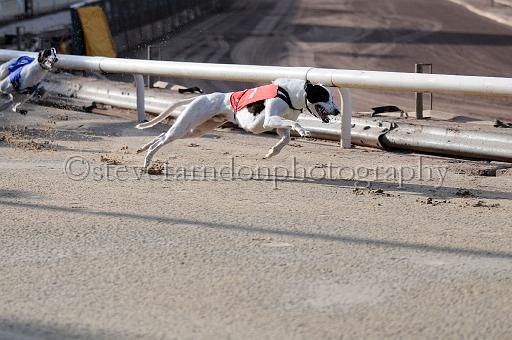 juneaction_131.JPG - (C)S.FARNDON