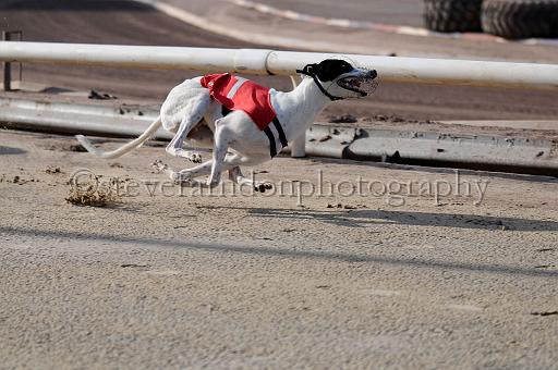 juneaction_132.JPG - (C)S.FARNDON