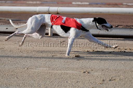 juneaction_133.JPG - (C)S.FARNDON