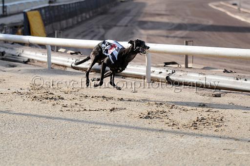 juneaction_138.JPG - (C)S.FARNDON