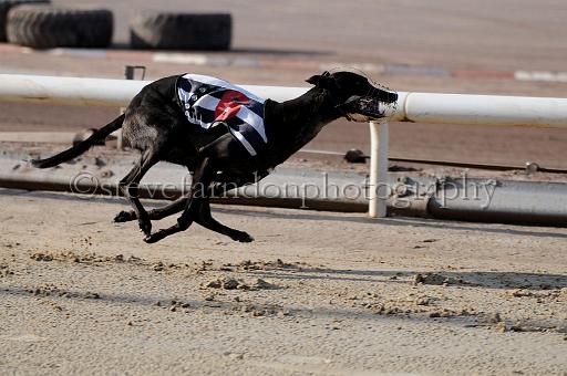juneaction_140.JPG - (C)S.FARNDON