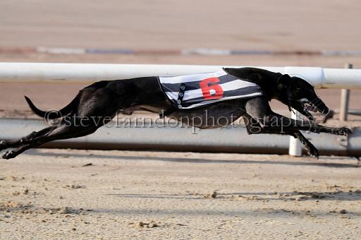 juneaction_141.JPG - (C)S.FARNDON