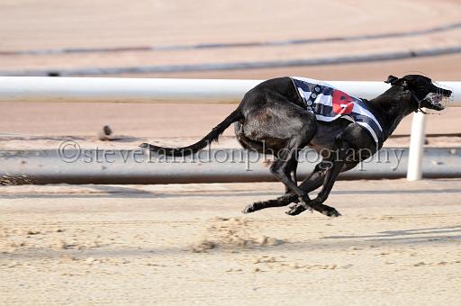 juneaction_142.JPG - (C)S.FARNDON