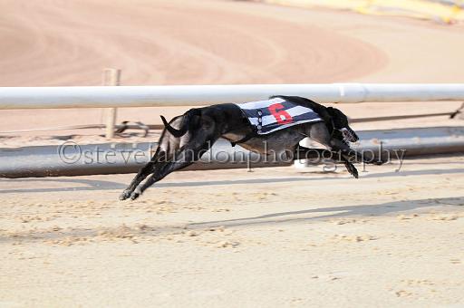 juneaction_143.JPG - (C)S.FARNDON