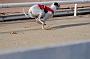 juneaction_135