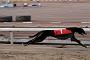 juneaction_788