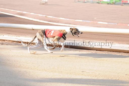 juneaction_254.JPG - (C)S.FARNDON