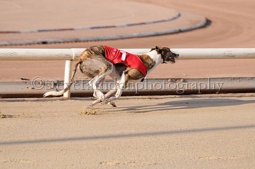 juneaction_257.JPG - (C)S.FARNDON