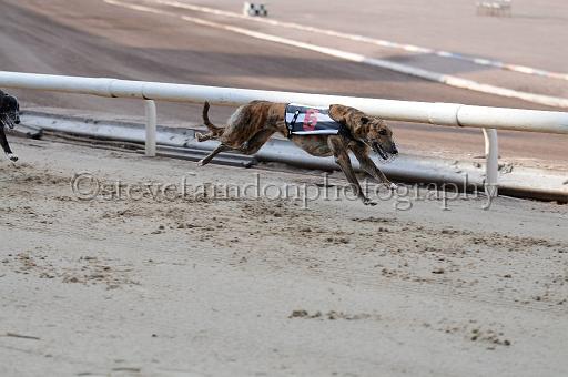 juneaction_265.JPG - (C)S.FARNDON