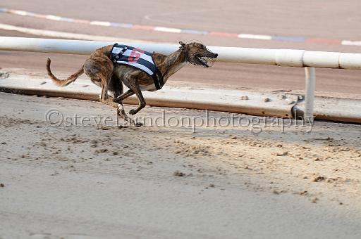 juneaction_266.JPG - (C)S.FARNDON