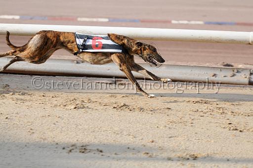 juneaction_267.JPG - (C)S.FARNDON