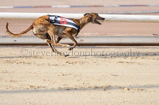 juneaction_268.JPG - (C)S.FARNDON