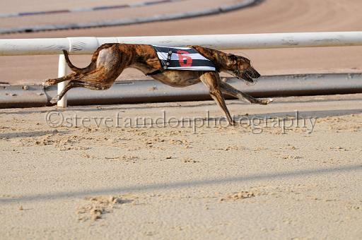 juneaction_269.JPG - (C)S.FARNDON