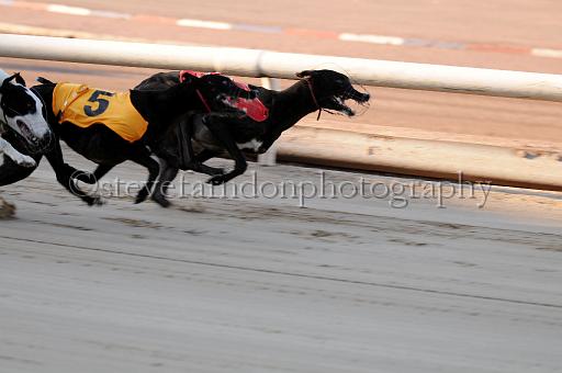 juneaction_398.JPG - (C)S.FARNDON