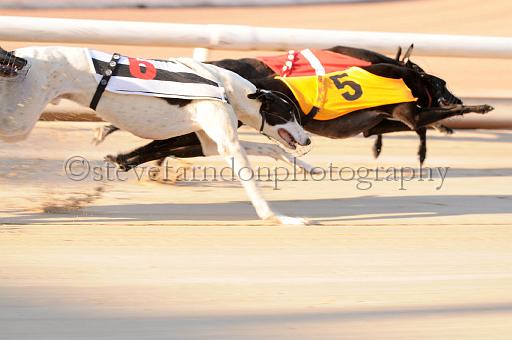 juneaction_399.JPG - (C)S.FARNDON