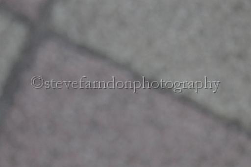 juneaction_408.JPG - (C)S.FARNDON