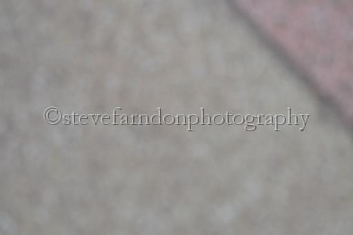 juneaction_597.JPG - (C)S.FARNDON