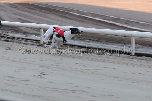mayaction_006.JPG - (C)S.FARNDON