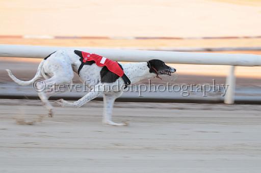 mayaction_010.JPG - (C)S.FARNDON