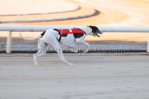 mayaction_011.JPG - (C)S.FARNDON