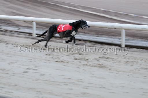 mayaction_015.JPG - (C)S.FARNDON