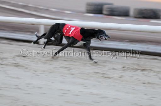 mayaction_016.JPG - (C)S.FARNDON