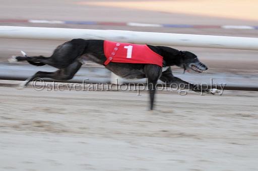 mayaction_018.JPG - (C)S.FARNDON