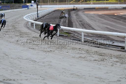 mayaction_020.JPG - (C)S.FARNDON