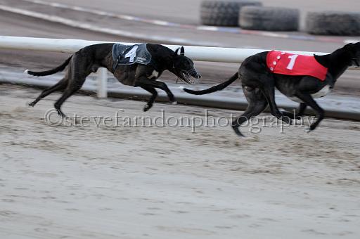 mayaction_025.JPG - (C)S.FARNDON