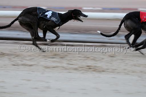 mayaction_026.JPG - (C)S.FARNDON