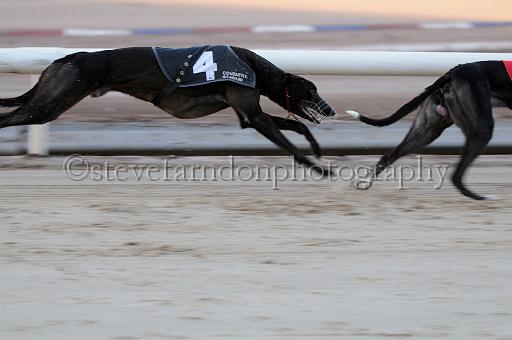 mayaction_027.JPG - (C)S.FARNDON