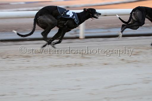 mayaction_028.JPG - (C)S.FARNDON
