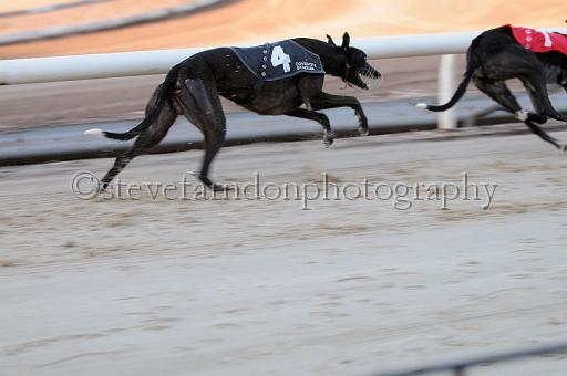 mayaction_029.JPG - (C)S.FARNDON
