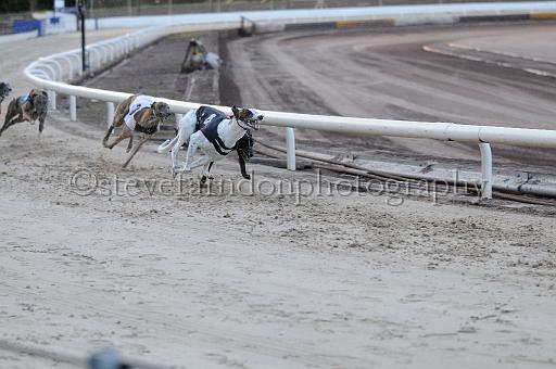 mayaction_031.JPG - (C)S.FARNDON