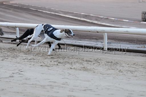 mayaction_033.JPG - (C)S.FARNDON