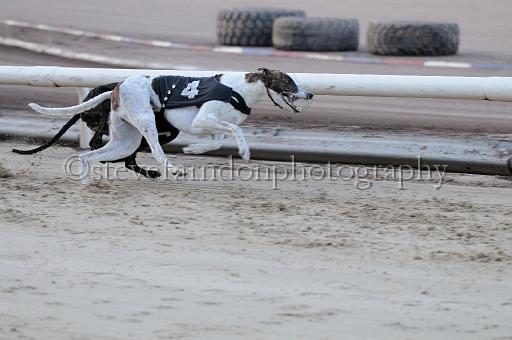mayaction_034.JPG - (C)S.FARNDON