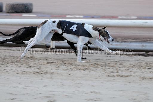 mayaction_035.JPG - (C)S.FARNDON