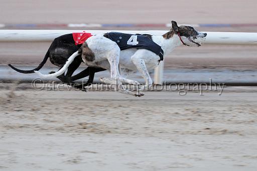 mayaction_036.JPG - (C)S.FARNDON
